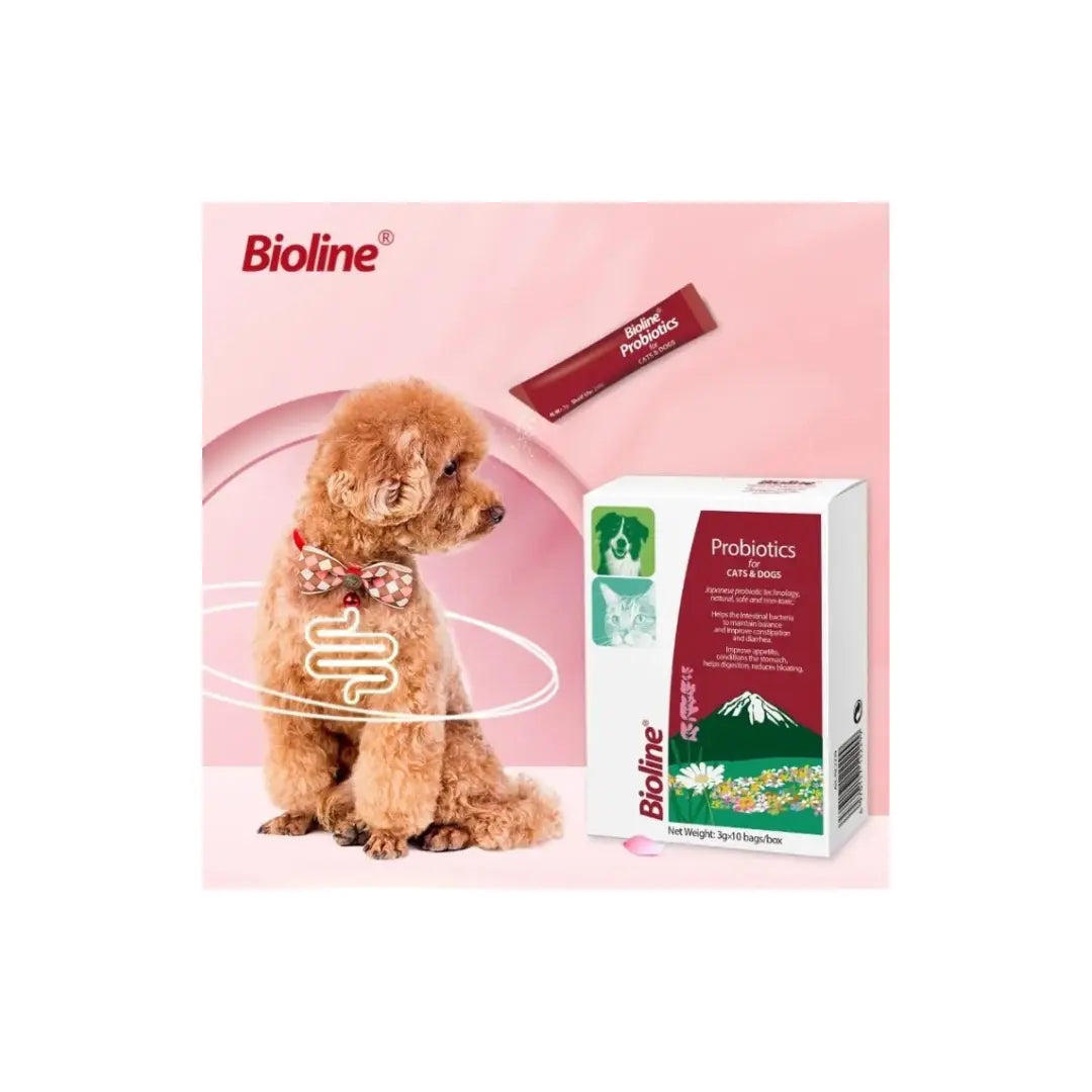 Bioline Activated Probiotics For Dogs & Cats 25g Bioline