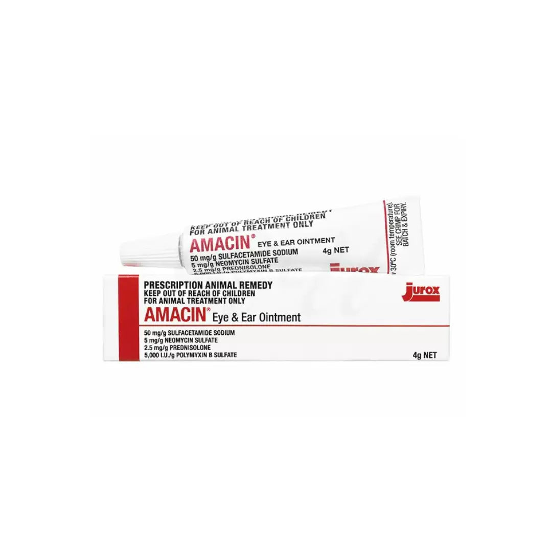 Jurox Amacin Antibiotics Eye and Ear Ointment for Dogs & Cats 4g Jurox