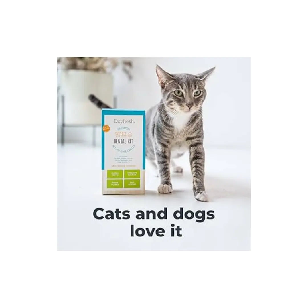 Oxyfresh Premium Pet Dental Kit for Dogs & Cats Oxyfresh