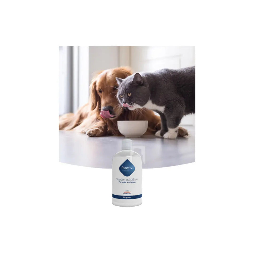 Plaqtiv+® Water Additive 500ml Ecuphar