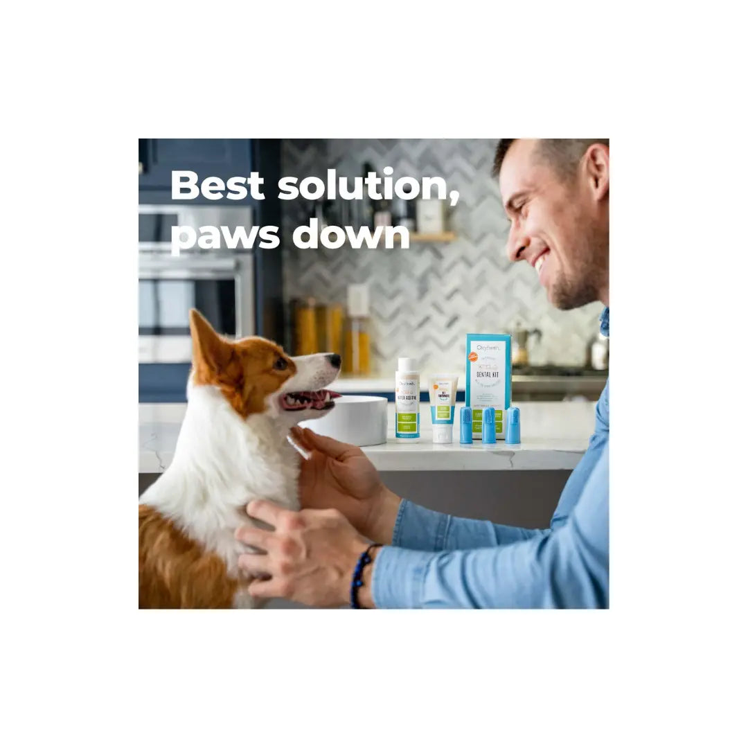 Oxyfresh Premium Pet Dental Kit for Dogs & Cats Oxyfresh