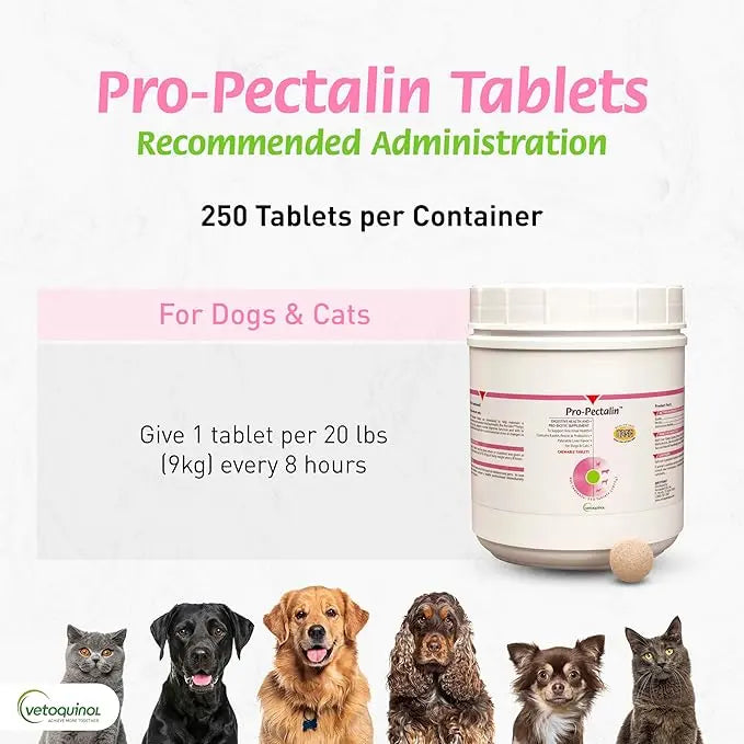 Vetoquinol Pro-Pectalin 250 Tablets Vetoquinol