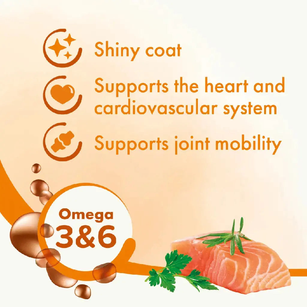 Bioline Norwegian Salmon Oil 250ml Bioline