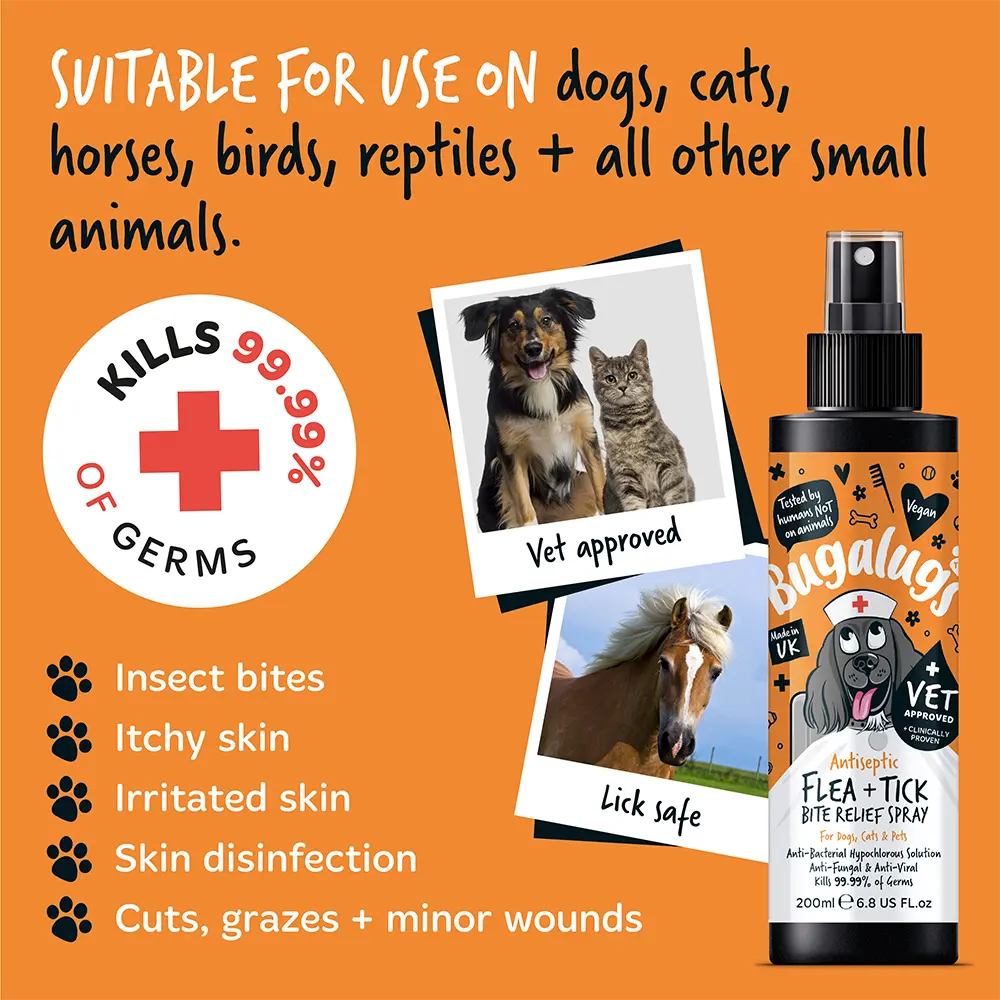 Bugalugs Antiseptic Flea & Tick Bite Relief Spray 200ml (6.8 Fl Oz) Bugalugs