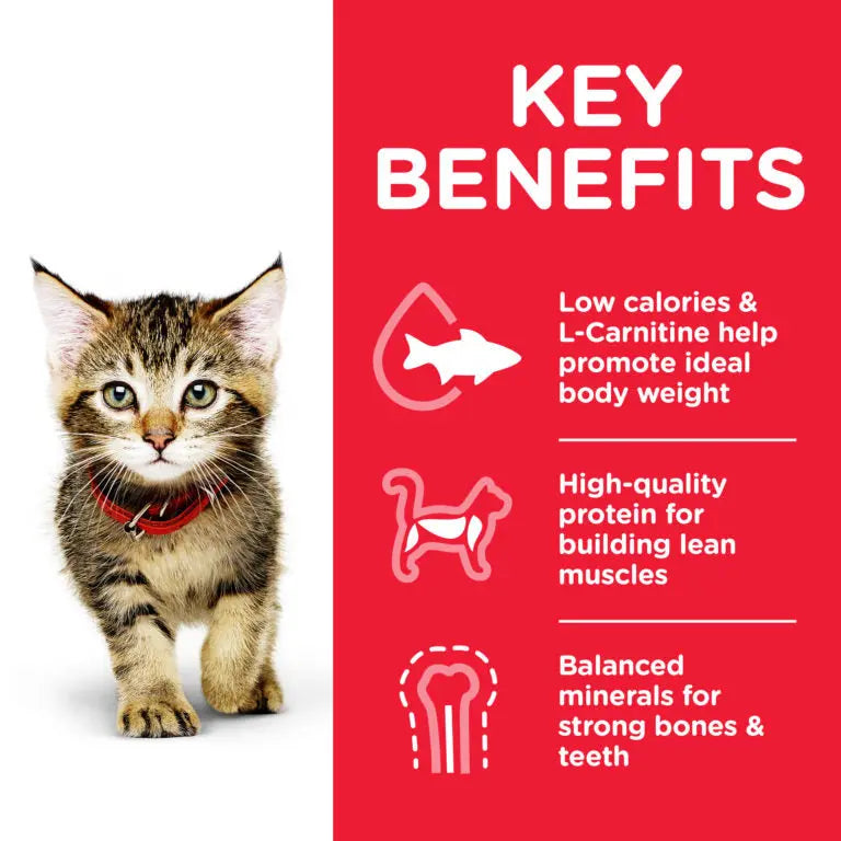 Hill's Science Plan Kitten Food Chicken Hills
