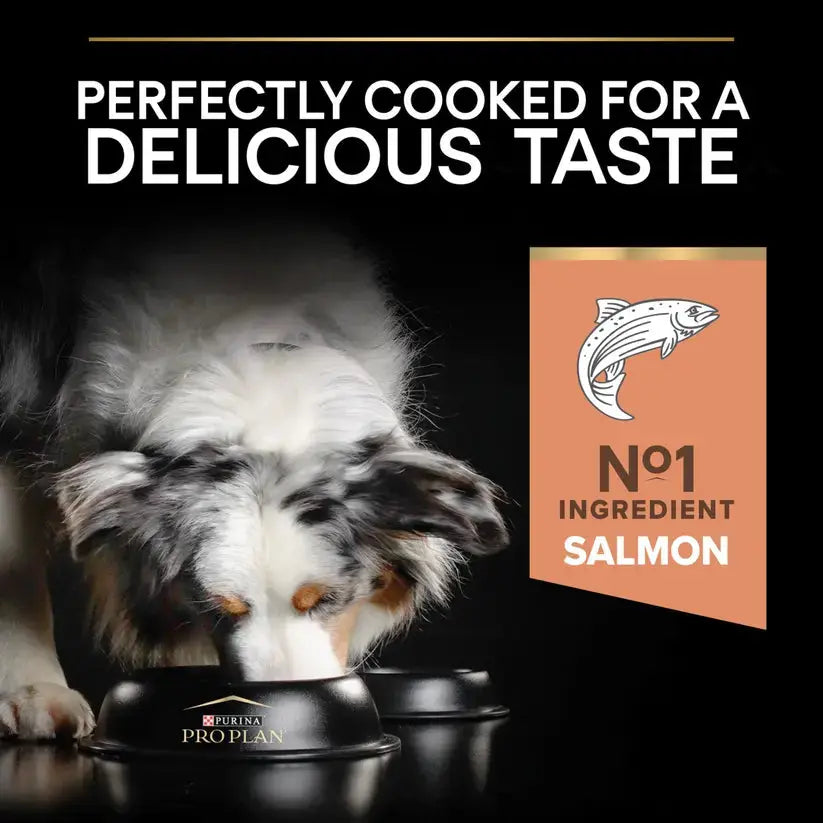 Purina Pro Plan Medium & Large Adult 7+ Age Sensitive Skin Salmon Dry Dog Food Purina Pro Plan