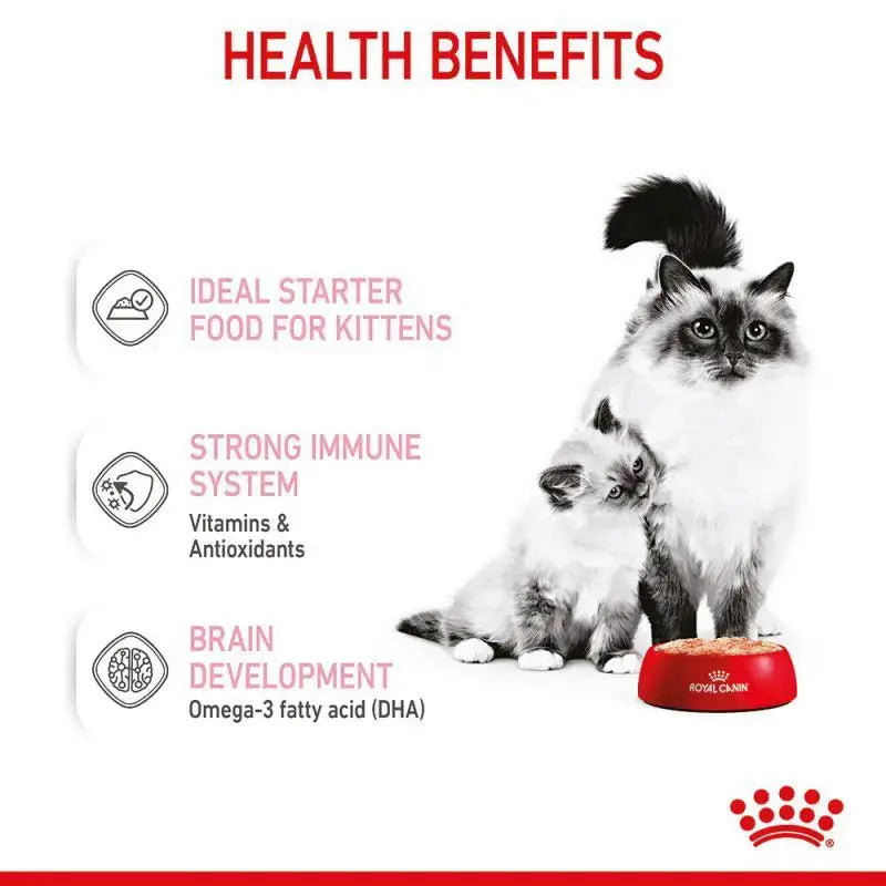 Royal Canin Feline Mother and Babycat Mousse Wet Food Can 12x195g Royal Canin