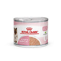 Royal Canin Feline Mother and Babycat Mousse Wet Food Can 12x195g Royal Canin