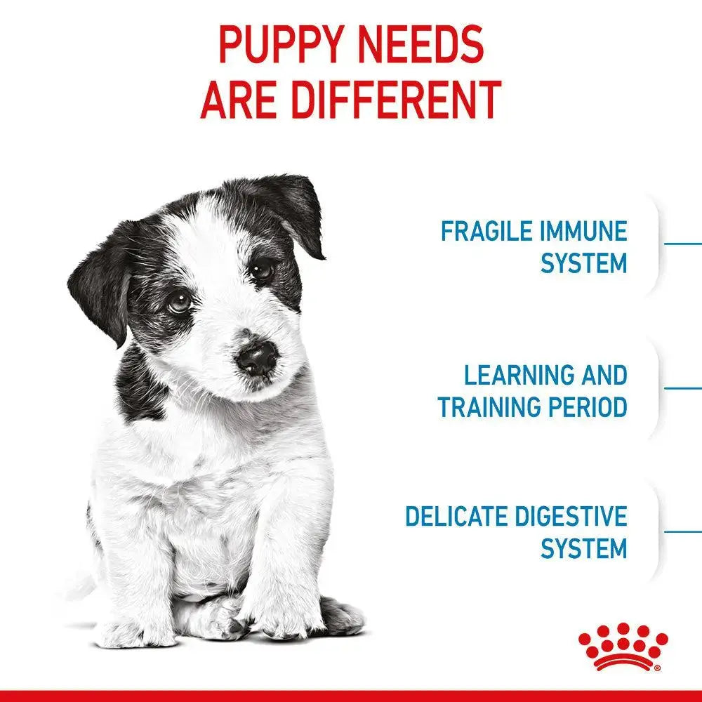 ROYAL CANIN SIZE HEALTH NUTRITION MINI PUPPY Royal Canin