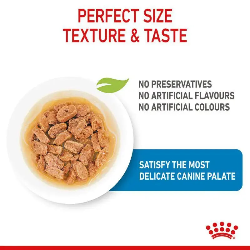 Royal Canin Size Health Nutrition Mini Puppy Wet Food Pouch 10x85g Royal Canin