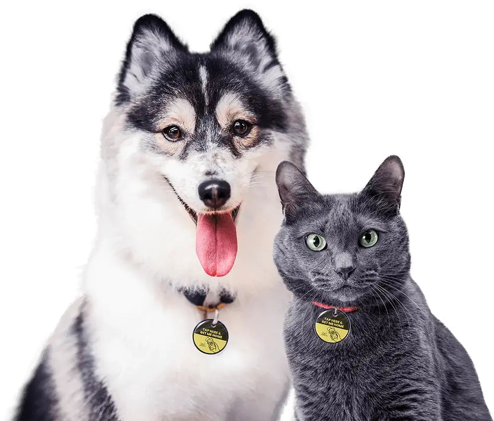 The Pet Tap Smart Pet NFC ID Locator Tags The Pet Tap