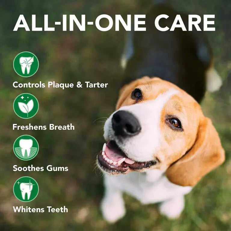 Vet’s Best Advanced Dental Powder for Dogs 90g VET'S BEST