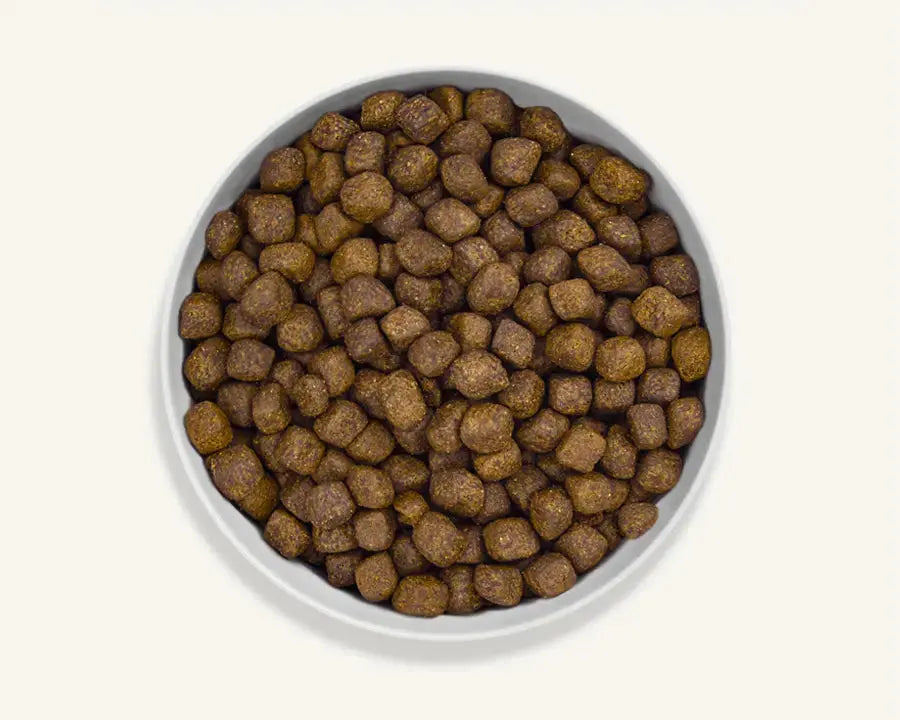 Canagan Dental Free Run Turkey Small Breed Dry Dog Food 2KG Canagan