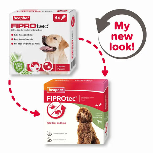 Beaphar Fiprotec for Large Dog - 4 Pipettes Beaphar