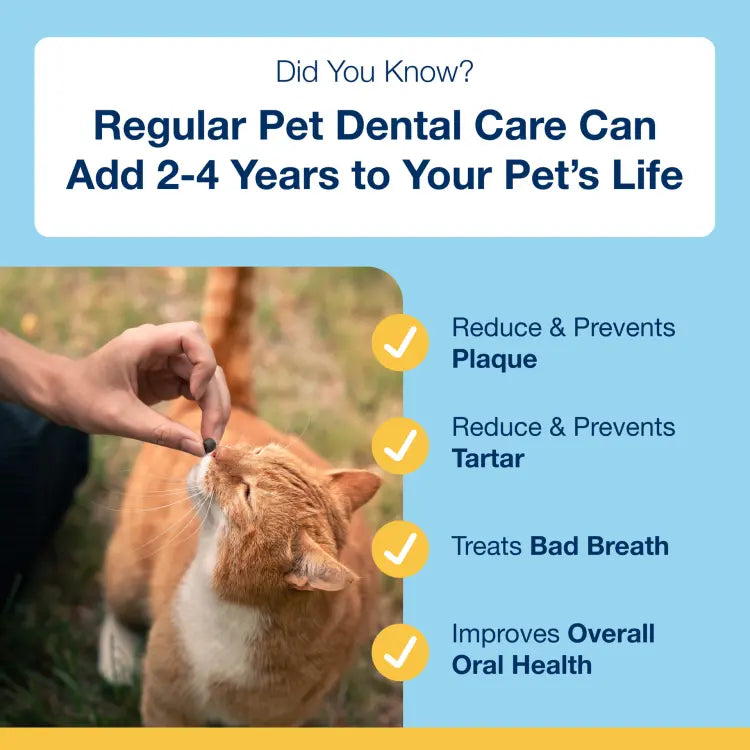 ProDen PlaqueOff Dental Bites for Cats 60g Sweden Care