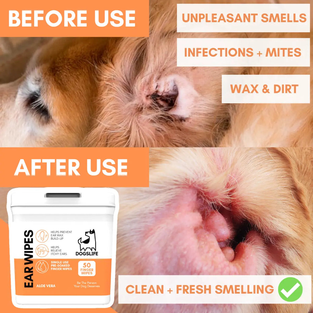 DogsLife Ear Wipes Aloe Vera Dog 50pcs DogsLife