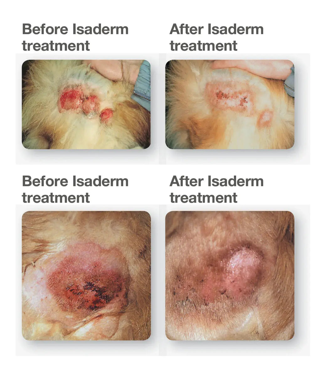 Isaderm Gel 15g Dechra