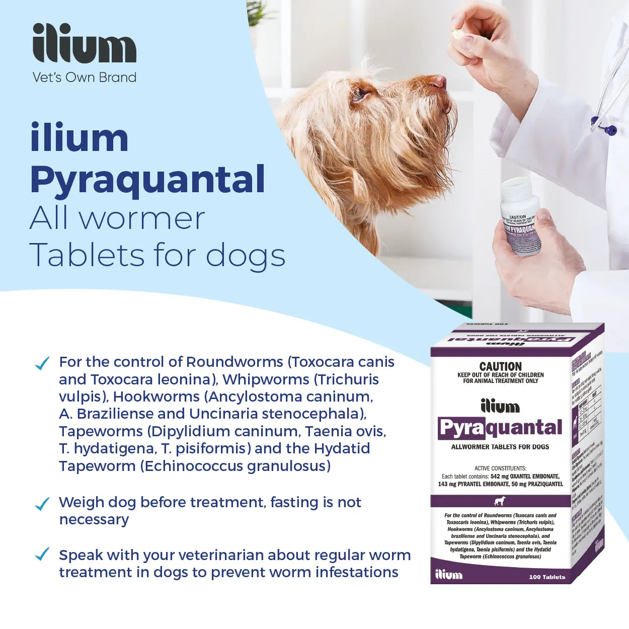 Ilium Pyraquantal Allwormer 100Tablets Troy Laboratory
