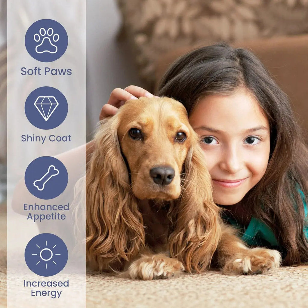 Brilliant Salmon Oil for Dogs and Cats Brilliant
