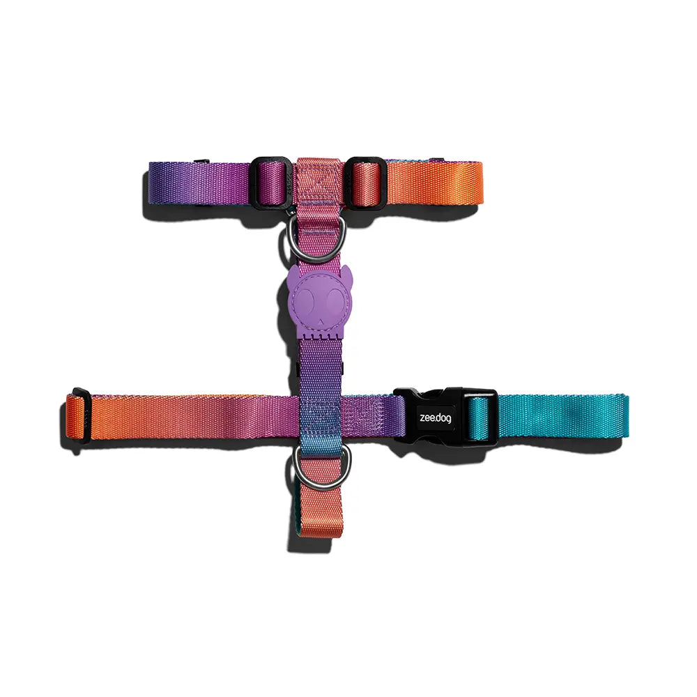 Zee Dog Wave H-Harness Zee.Dog